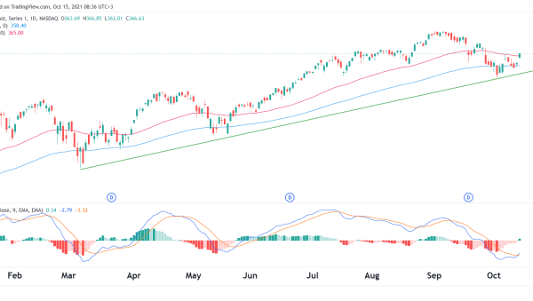 Biggq stock price